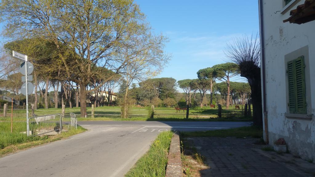 Villa Ulivo Della Querce Querce  Exterior foto