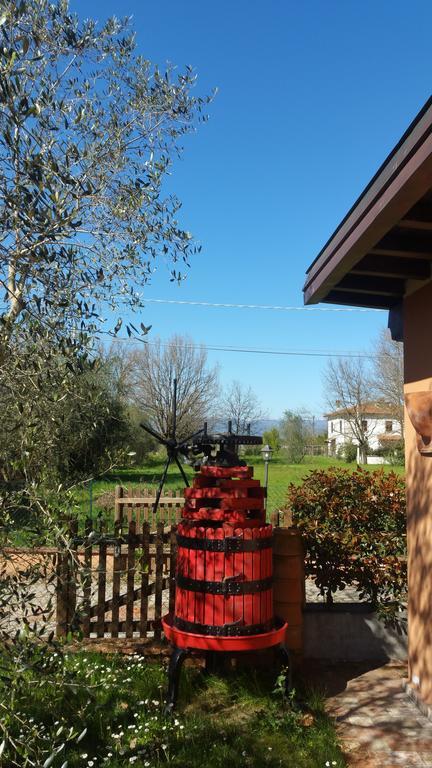 Villa Ulivo Della Querce Querce  Exterior foto